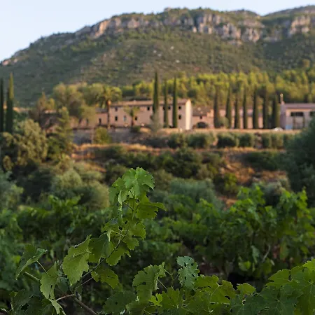 Ξενοδοχείο Terra Dominicata - & Winery - Adults Only 5*