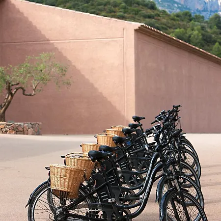 Terra Dominicata - & Winery - Adults Only